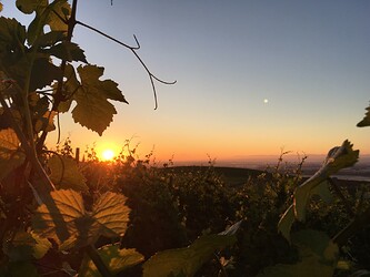IMG_1143