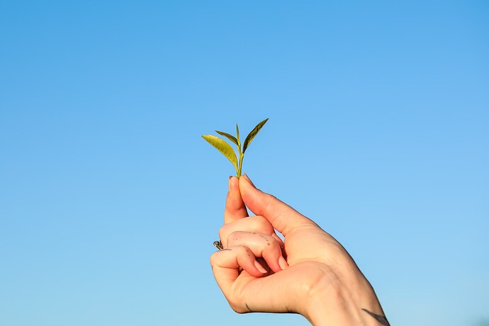 PhotoEmmaKruch-EmmaKCreative-8569