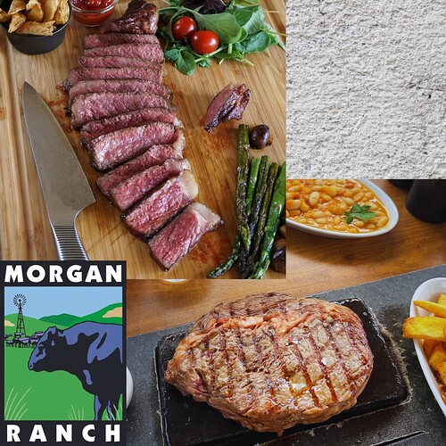 RibStrip Combo Square