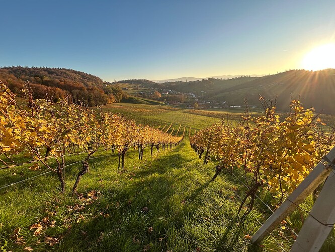 image-20241104-145758-951775a8