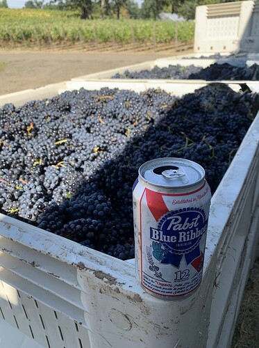 Image 1-24-26 at 8.49 PM