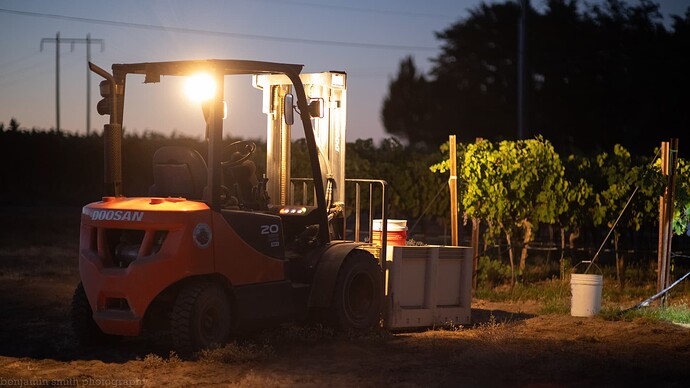 0831 vineyard-8