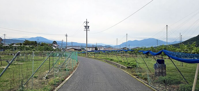 31_obuse
