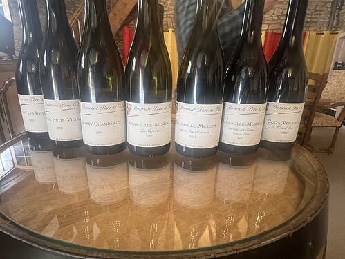 Domaine Boursot Lineup