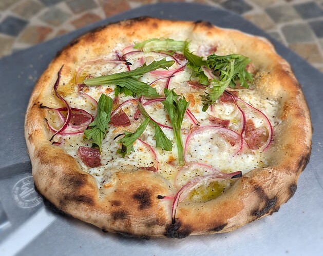 PXL_20250403_183658861.PORTRAIT