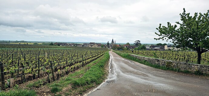 03-19_romaneestvivant