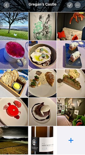 IMG_4590