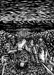 01_RoyalSlopeRed2020-Front-01+(2)crop