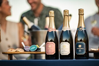 Patz & Hall 20244193