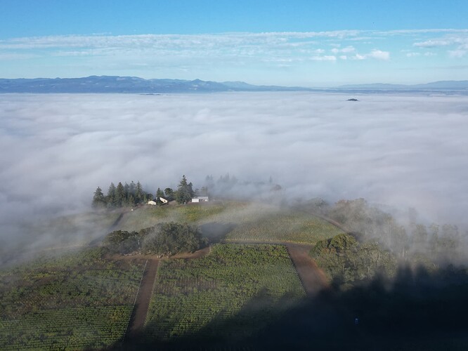 dji_fly_20240825_162736_334_1728231129298_photo