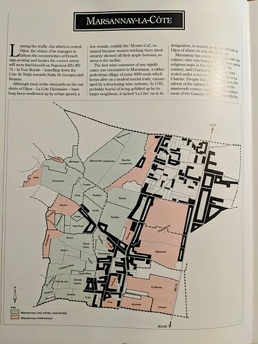 PXL_20240403_003650994~2
