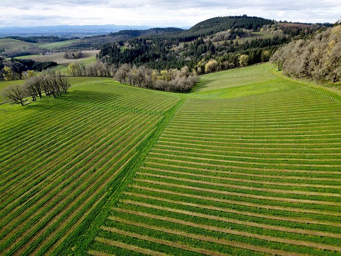 dji_fly_20240213_000822_99_1711550001193_photo