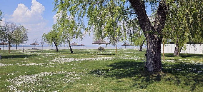0610_neusiedlersee
