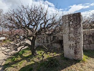 PXL_20240307_010724569