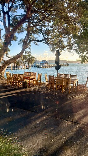 1E89E932-82B8-4E29-9642-8402FCAF2FFF