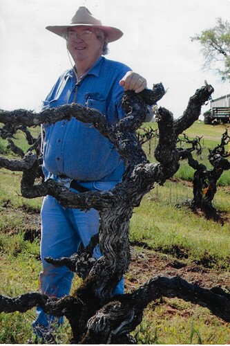 Ken in Mission vineyard clean