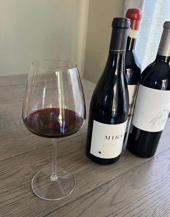 Wine glasses choice dilemma WINE TALK WineBerserkers