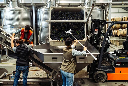 PhotoEmmaKMorris-06643 (1)