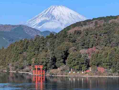 Compress_PXL_20251130_000507504