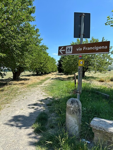 vf14