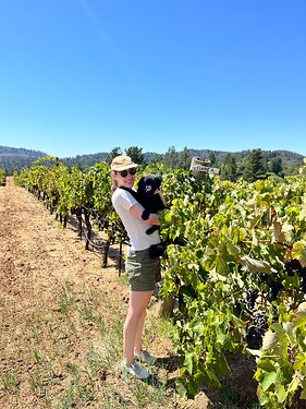 vineyard dog in training Potato at Grist