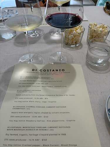 Dicostanzo 1