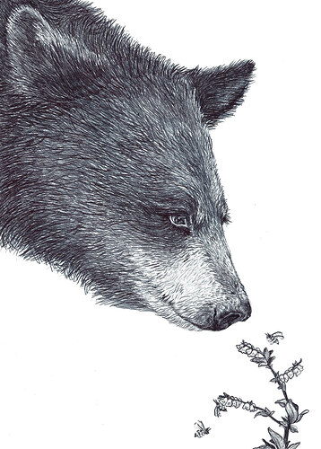 KFox_BlueberryWine_Art