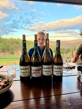 Luddite Chenin Blanc - Alice Verburg 2nd Gen. Winemaker