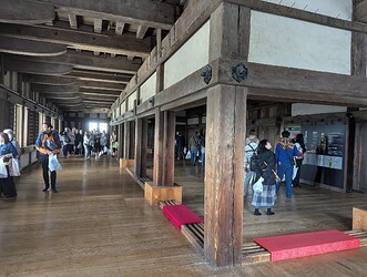 PXL_20250408_013112889