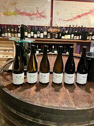 Tasting