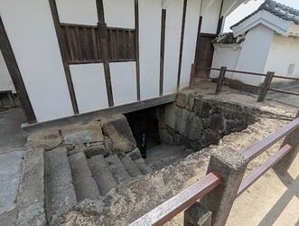 PXL_20250408_020417906