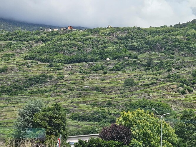 Valtellina 2