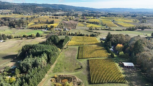 DJI_0260