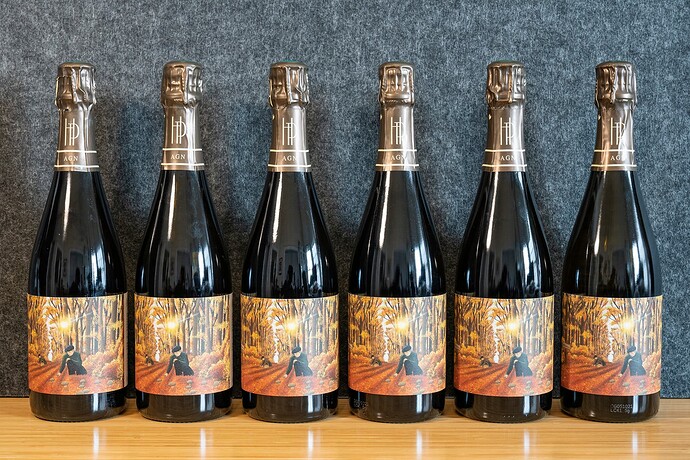 Romain Henin L'Appel de la Fôret