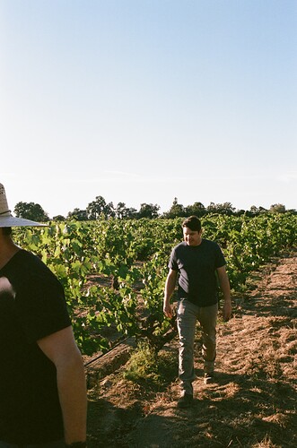 Alex Pitts - Stampede Vineyard