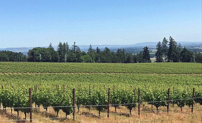 129 eola-amity hills, willamette valley