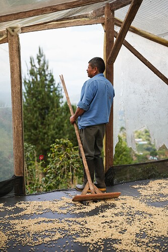 Luis_Feilipe_Leguizamo-9-2024-05-13-184337