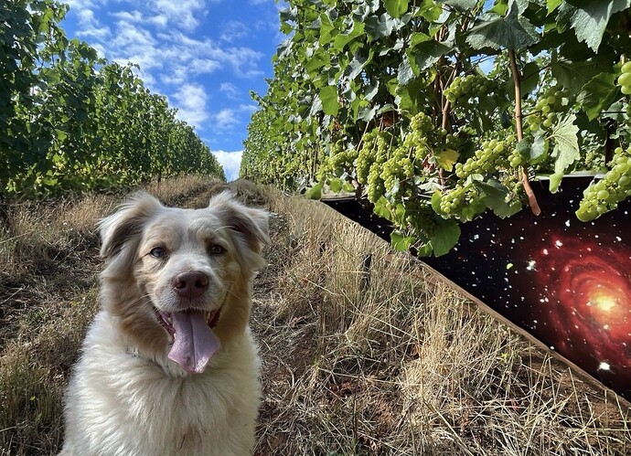 03D6F9AC-4334-4662-891D-A8F1A847E7B1