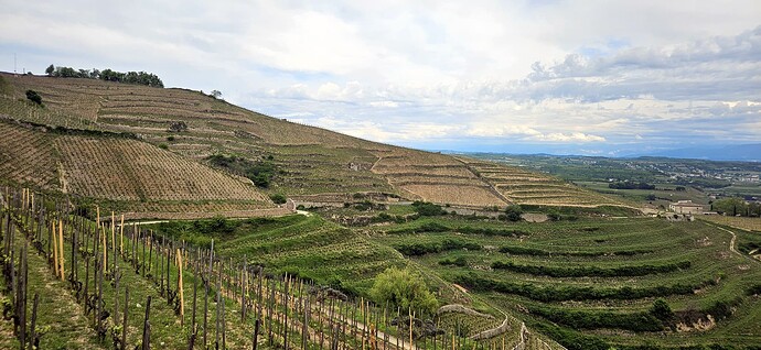 06-22_hermitage