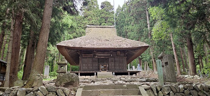 28_obuse