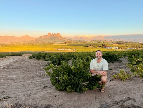 Peter in Scions of Sinai Vineyard