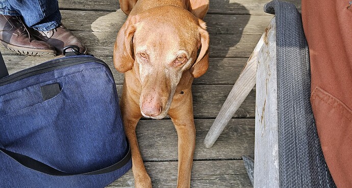 0519_schuster