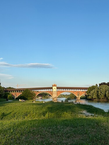 paviabridge