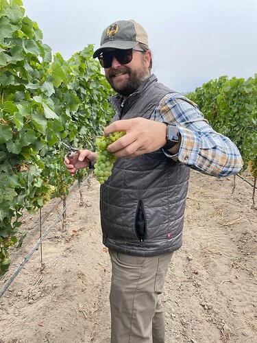 mb vineyard photo