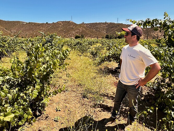 01 Gimelli old vine Zinfandel and Ryan