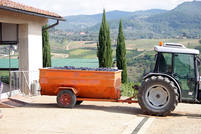 Viticcio loading grapes