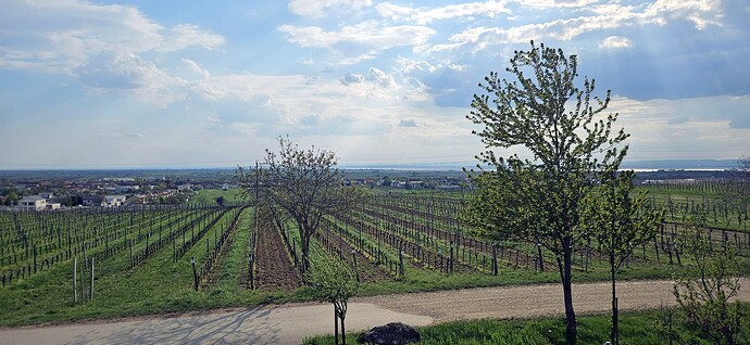 0619_preisinger