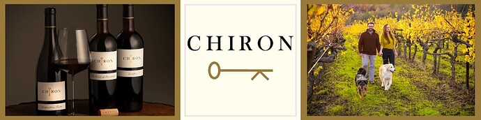 Chiron Banner