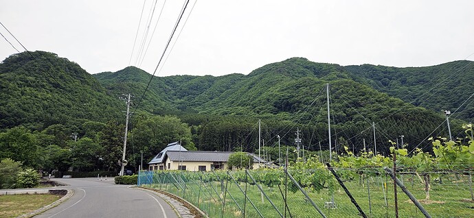 20_obuse