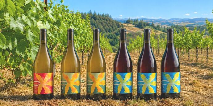 Helmsfield Block of Alder Springs Vineyard
